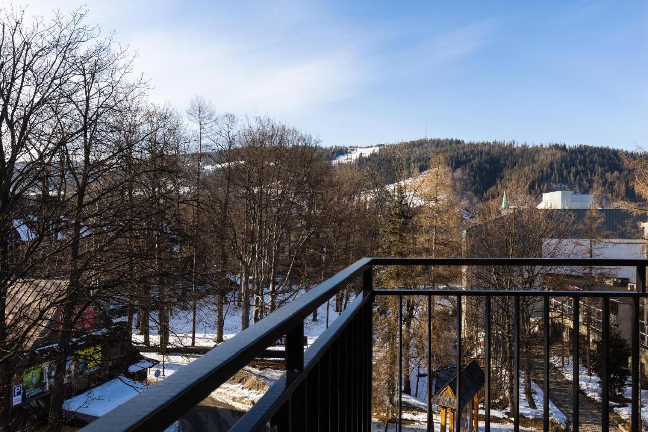 Monte Apartment *